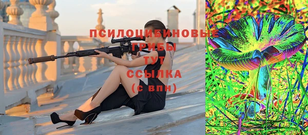 spice Аркадак