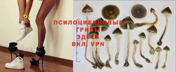spice Арсеньев