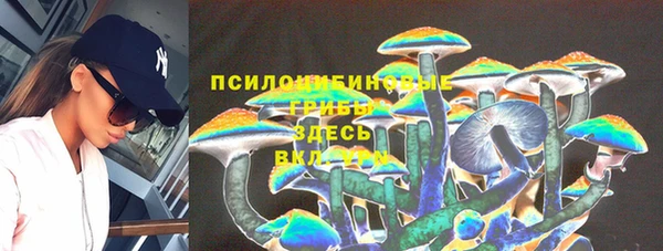 гидропоника Армянск